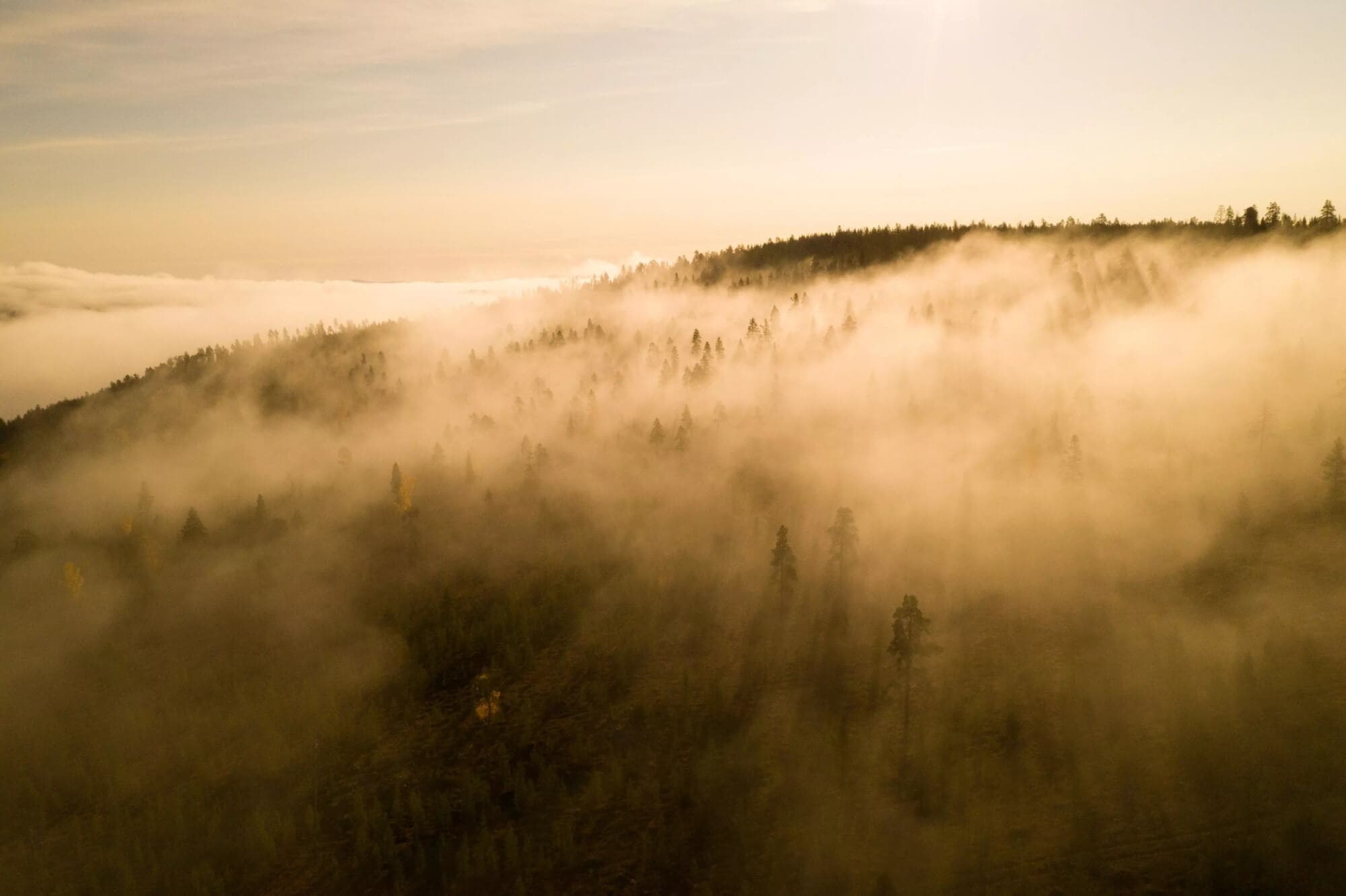Foggy drone image of a spruce covered mountain in Lapland
